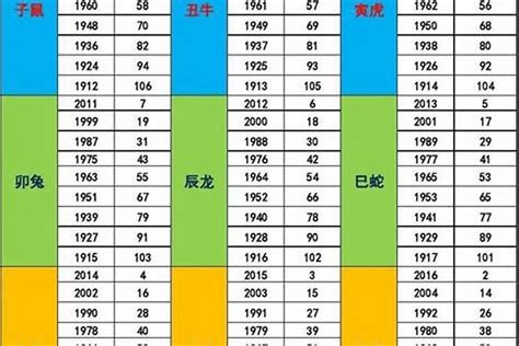 2025年五行属什么